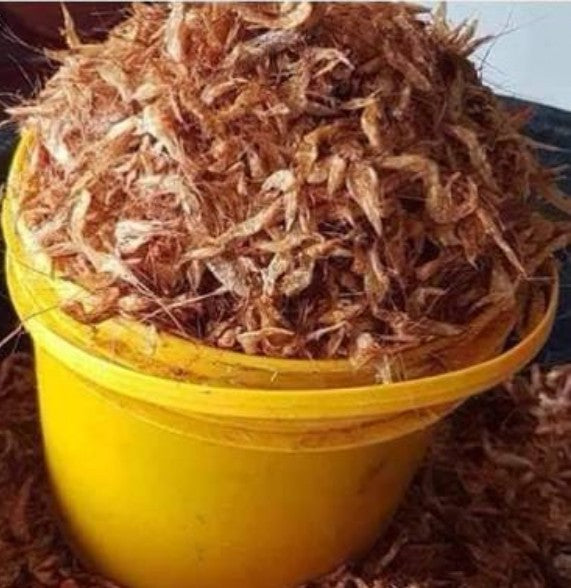 1 painter dried crayfish 